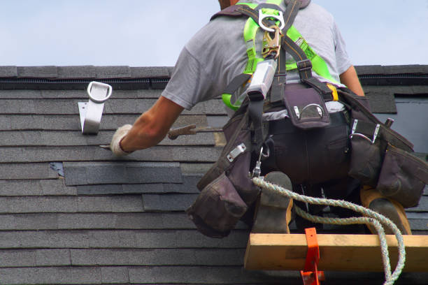 Best Chimney Flashing Repair  in Webb City, MO